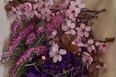 Cueillette de fleurs
