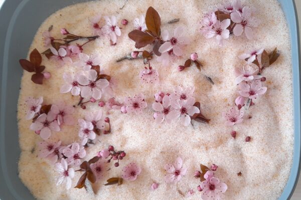 Créations uniques fleurs de prunus