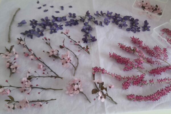 Créations uniques fleurs séchées