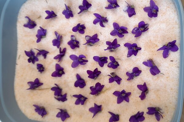 Créations uniques violettes Créations uniques violettes