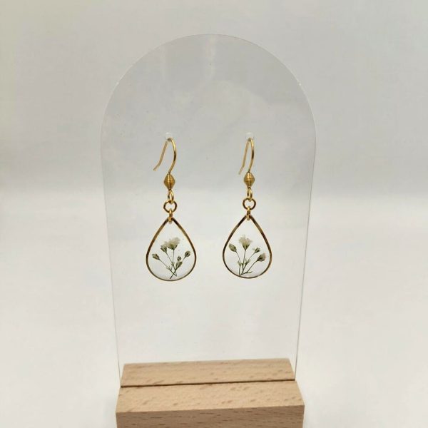 Gouttes gypsophile